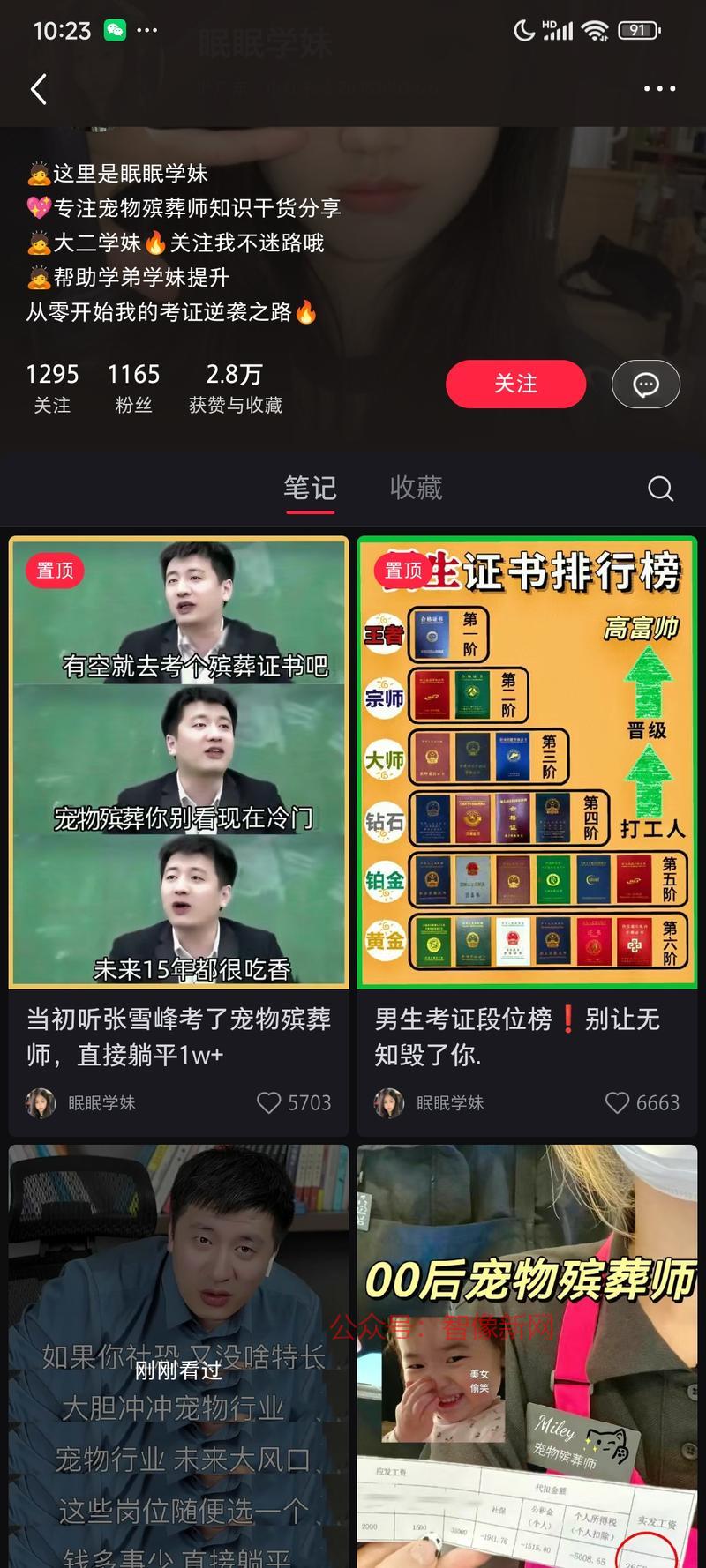 宠物殡葬师是一个近几年火…#情报-搞钱情报论坛-网创交流-智像新网